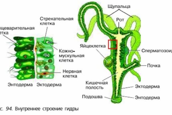 Кракен 17 вход