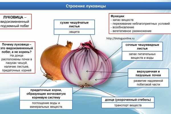 Кракен даркнет ссылка на сайт