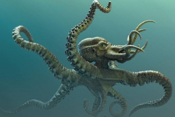 Kraken ссылка актуальная