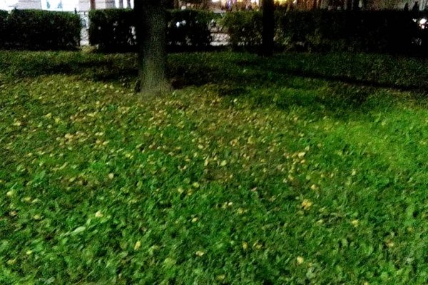 Зайти на кракен тор